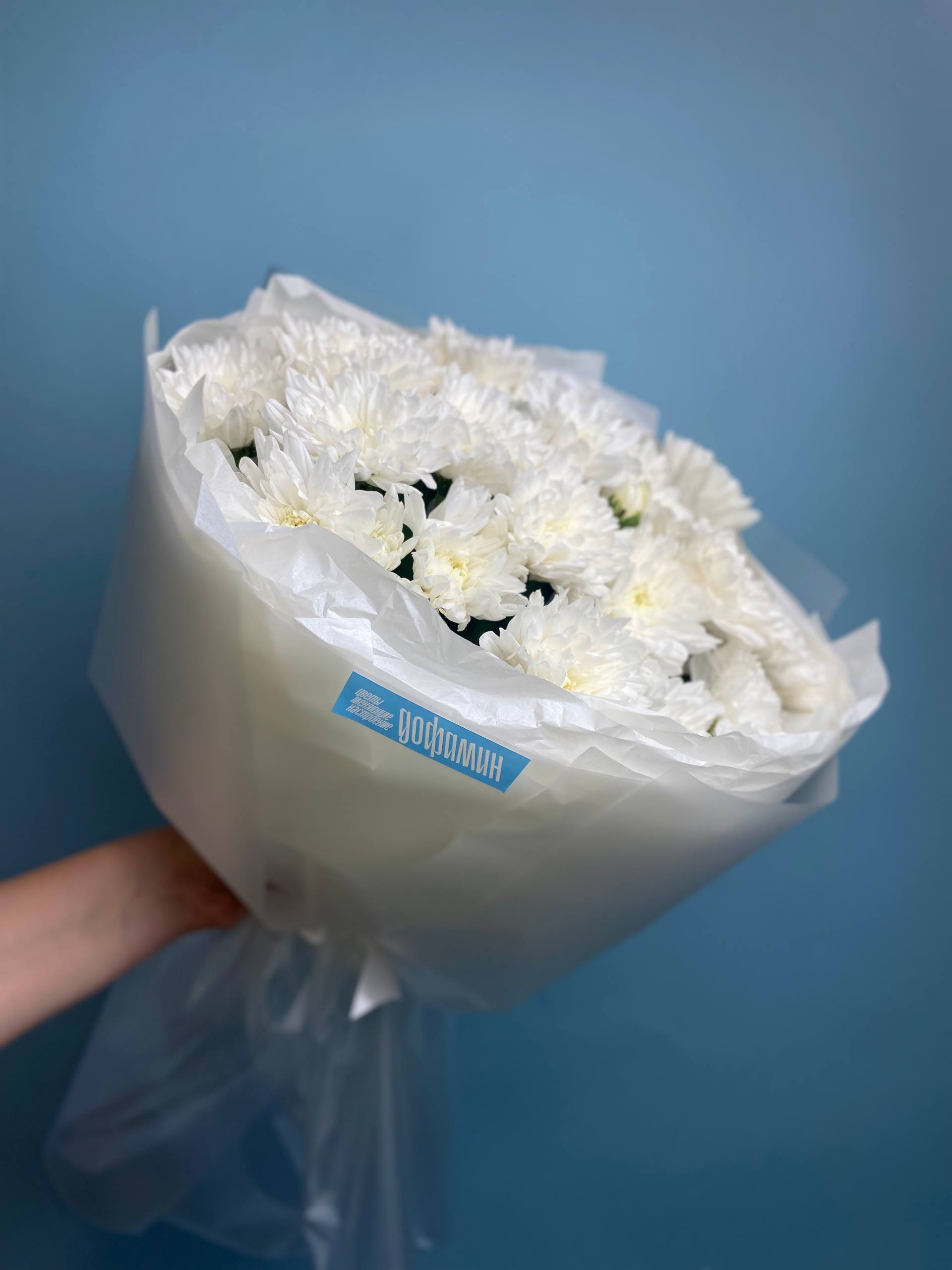 Моно букет из 5 кустовых хризантем