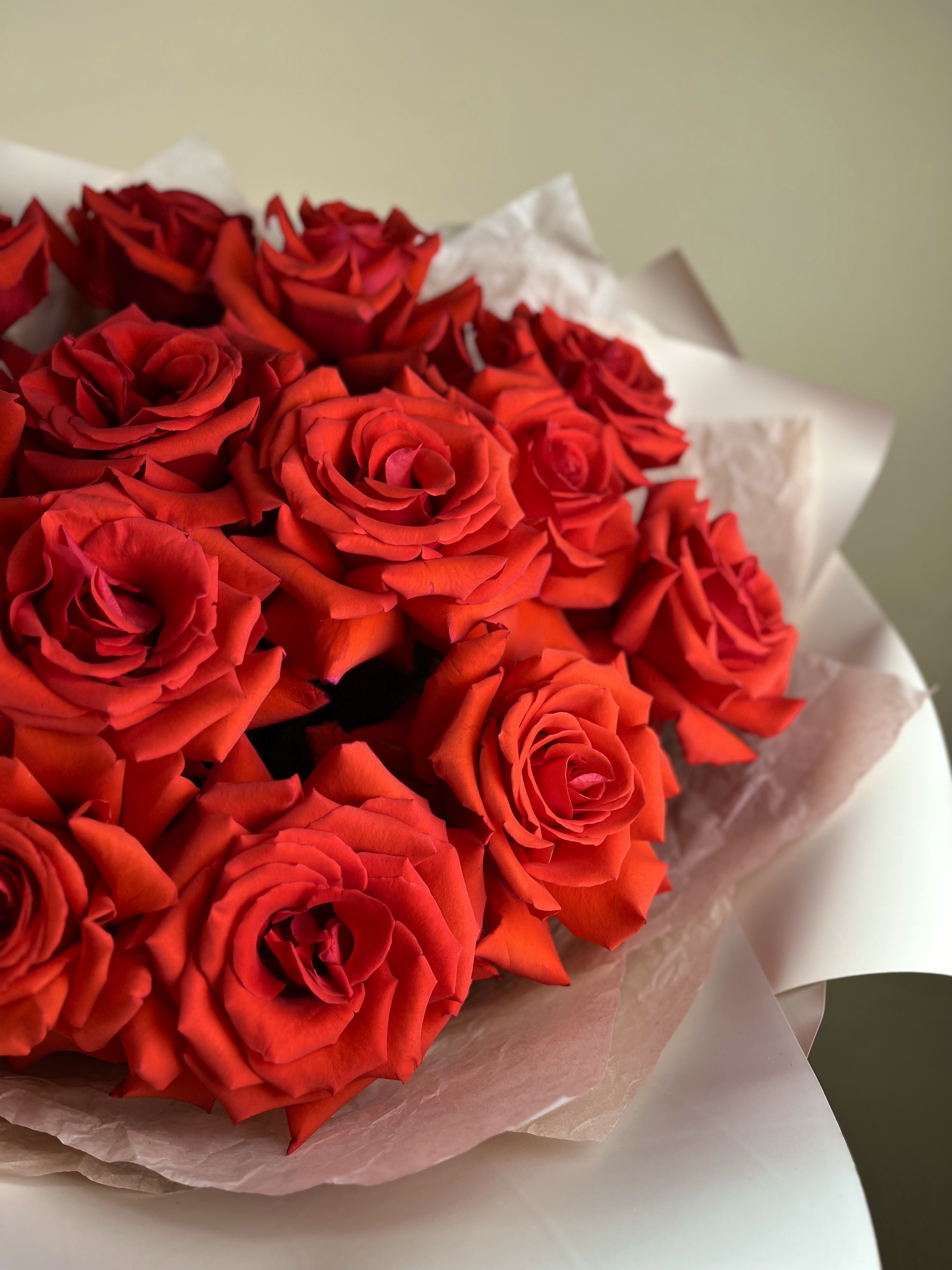 Французские красные розы (M)