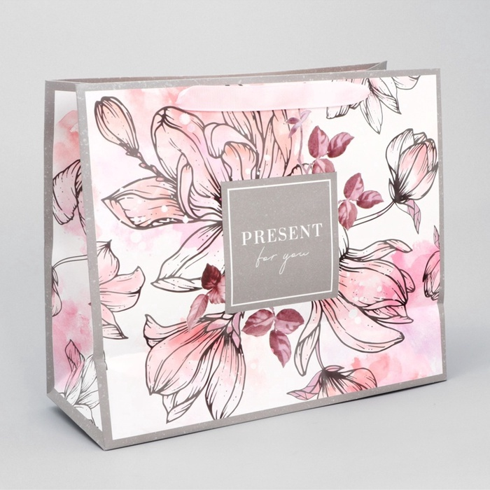 Пакет подарочный «Present for you», ML 27×23×11.5 см