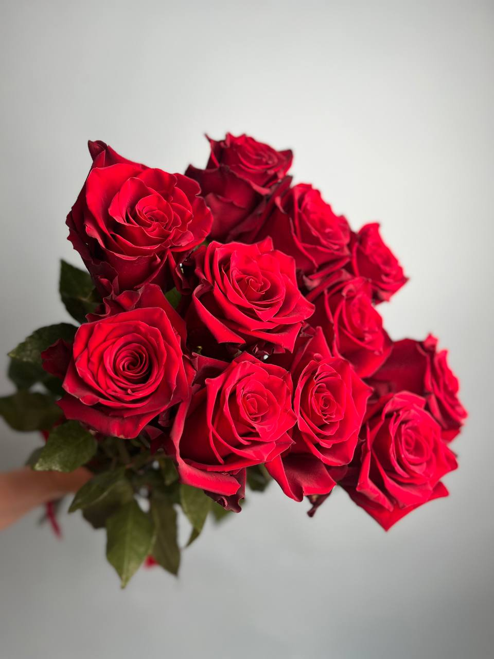 Эксплорер (S)