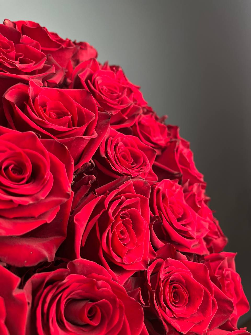 Эксплорер (L)