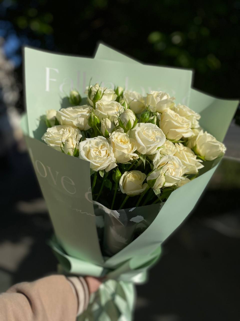 Облако нежности