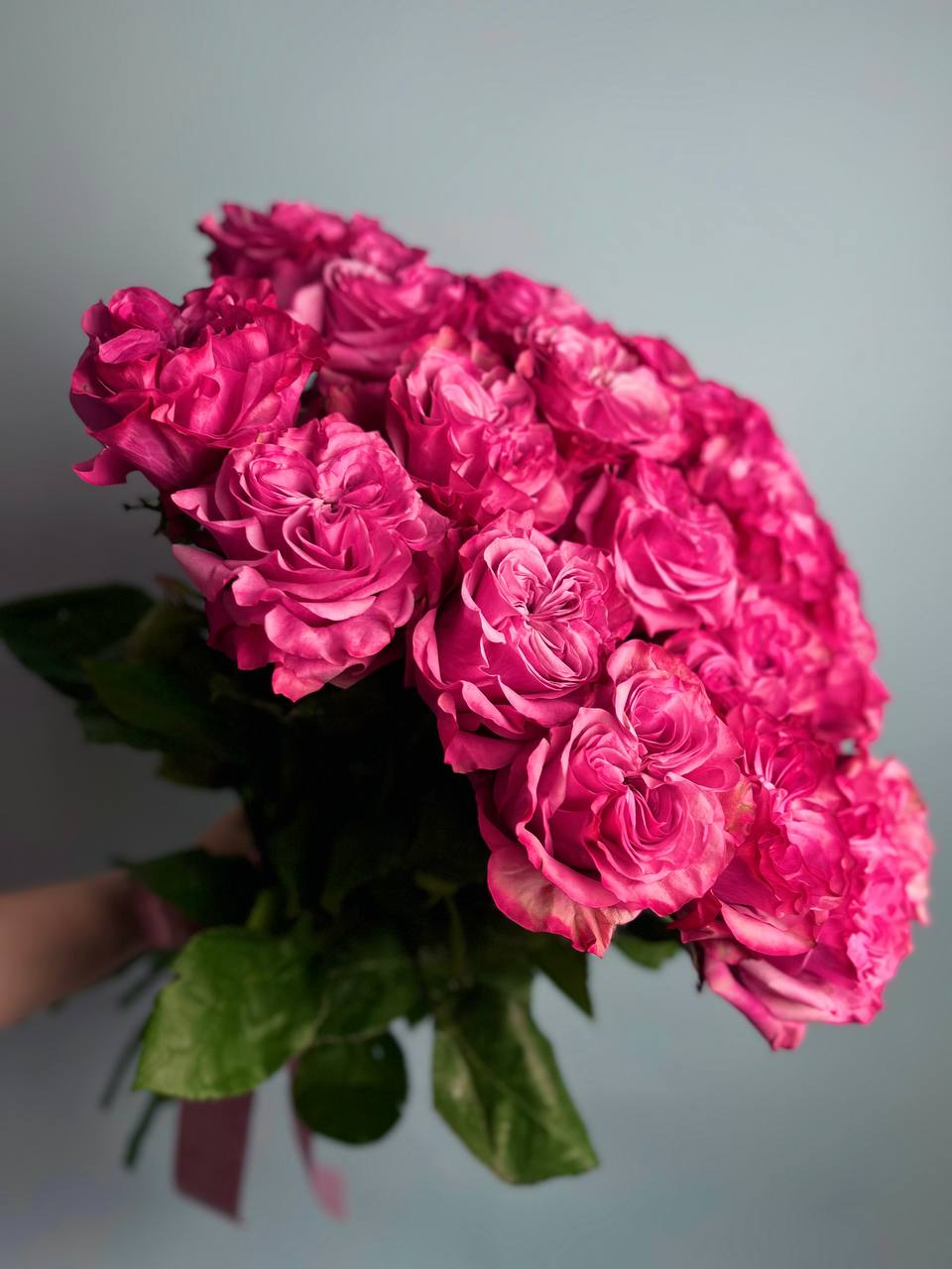 Розы Кантри Блюз (25 шт)