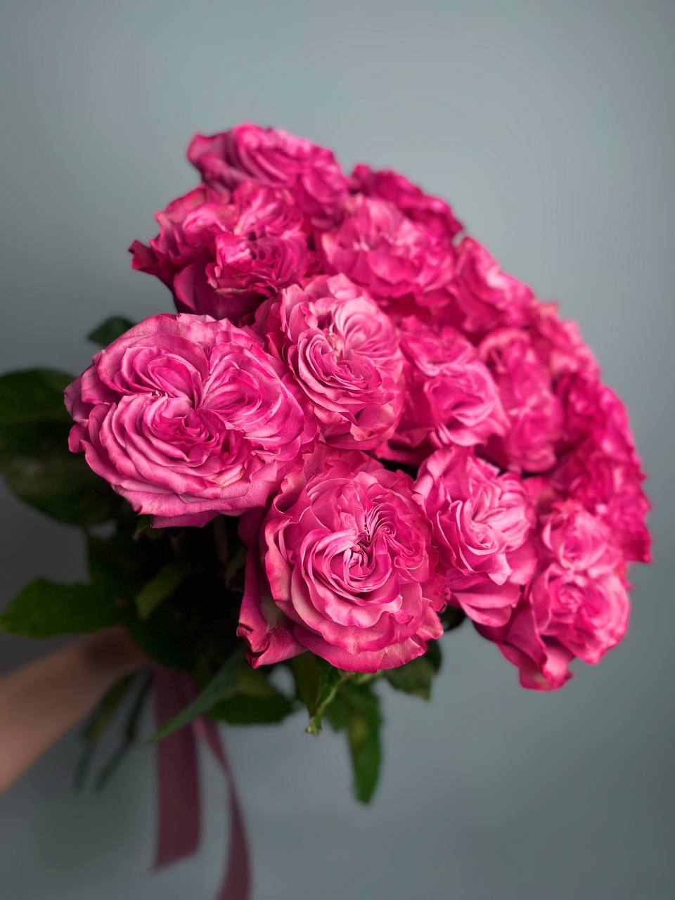 Розы Кантри Блюз (17 шт)