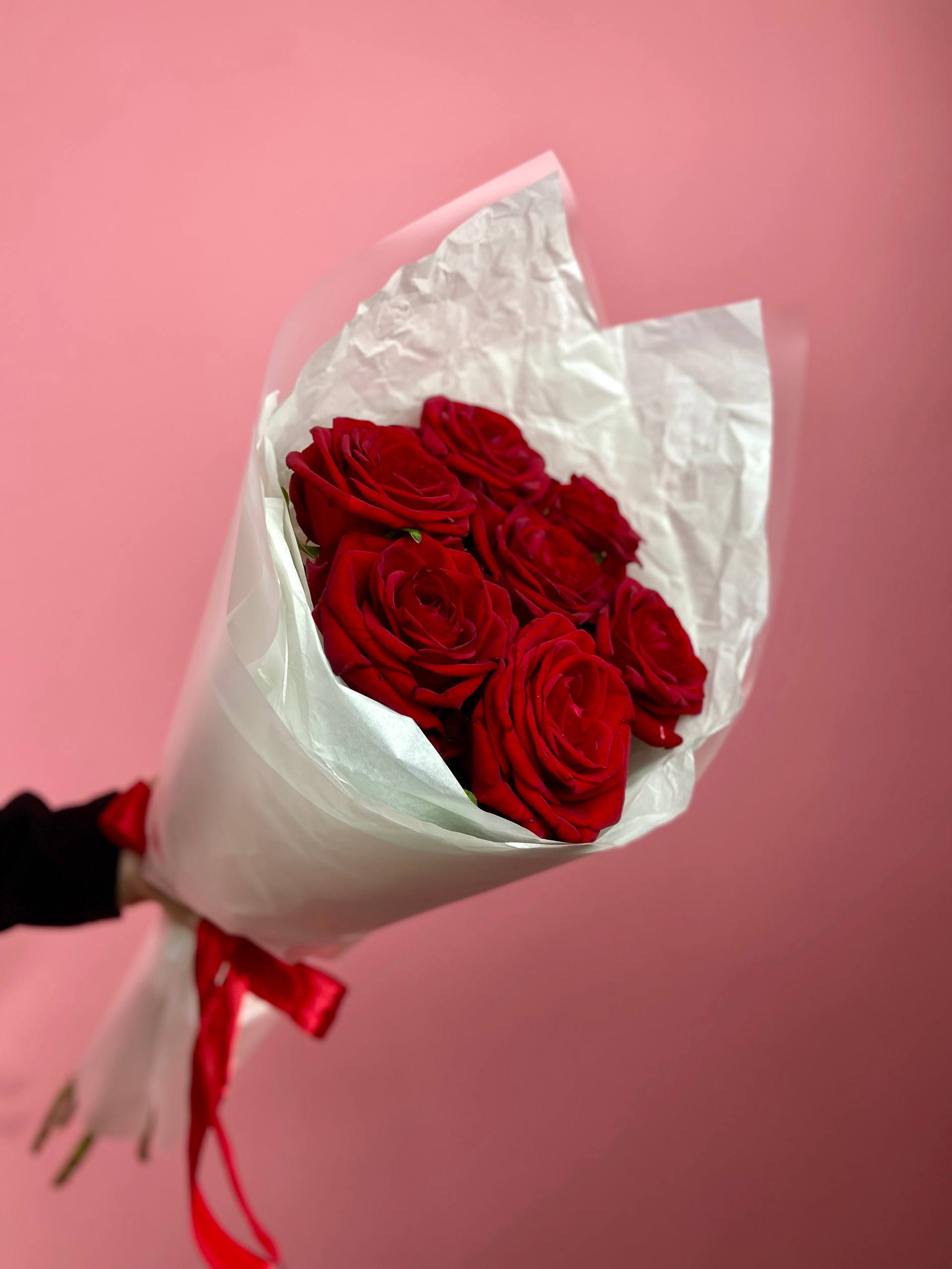 Кон Аморе (XS)