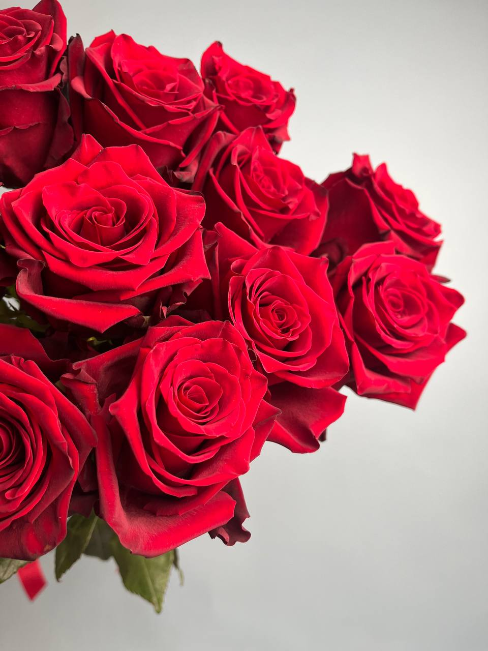 Эксплорер (S)