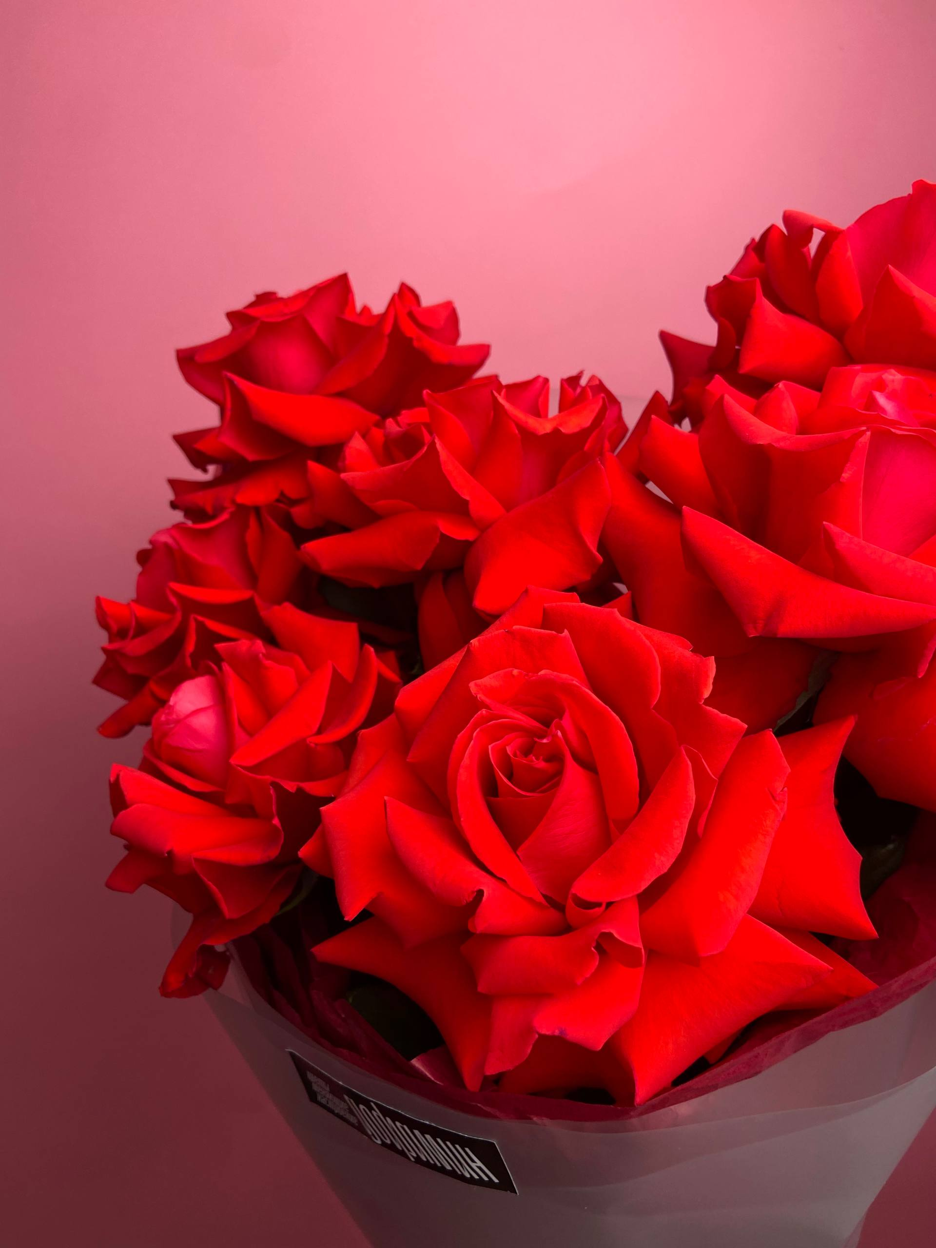 Серенада для тебя