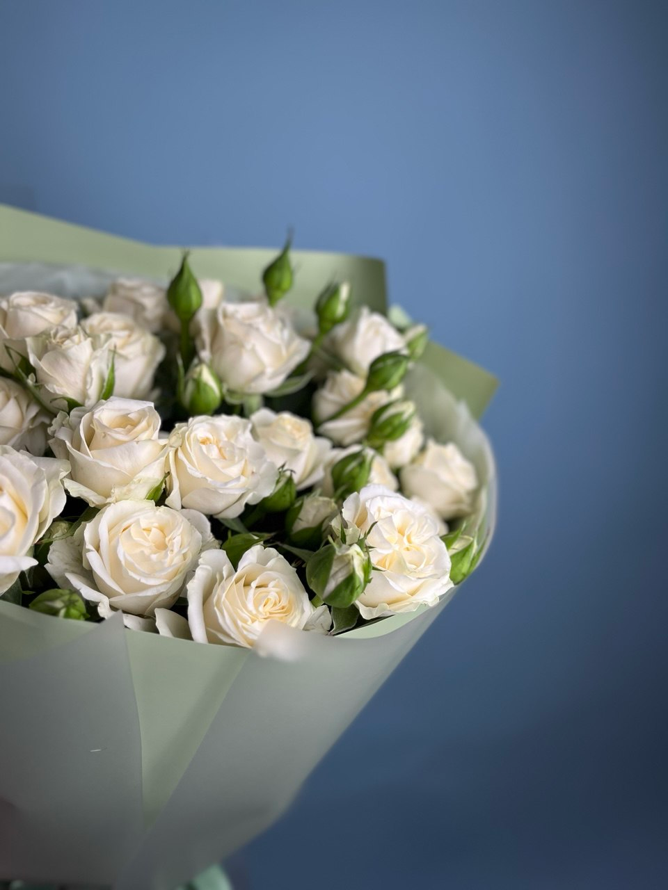 Облако нежности