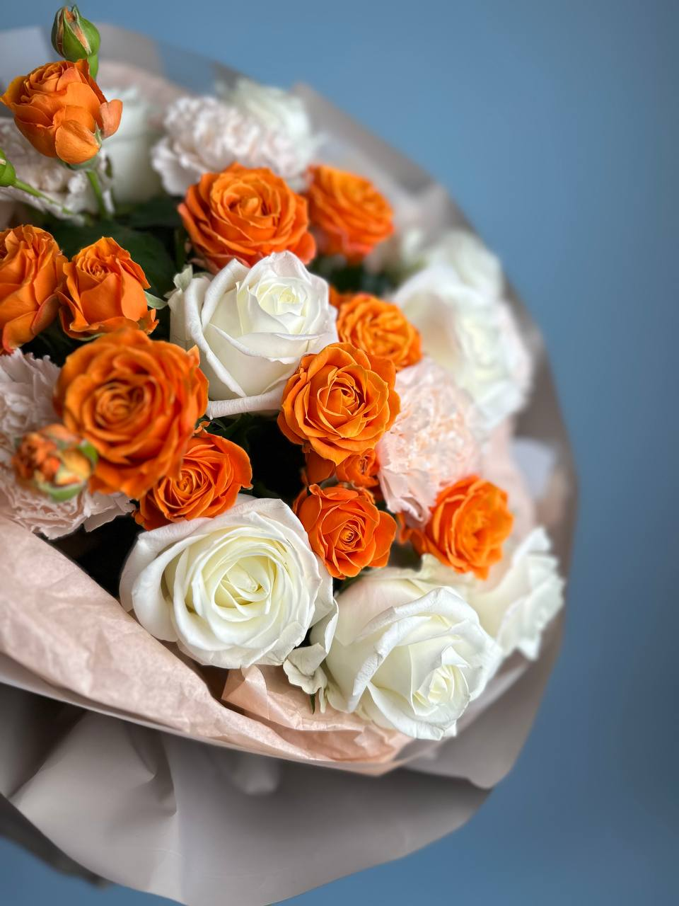 В лучах заходящего солнца