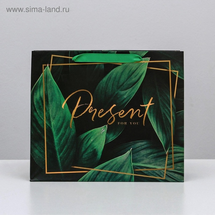 Пакет подарочный «Present for you», ML 27×23×11.5 см (зеленый)