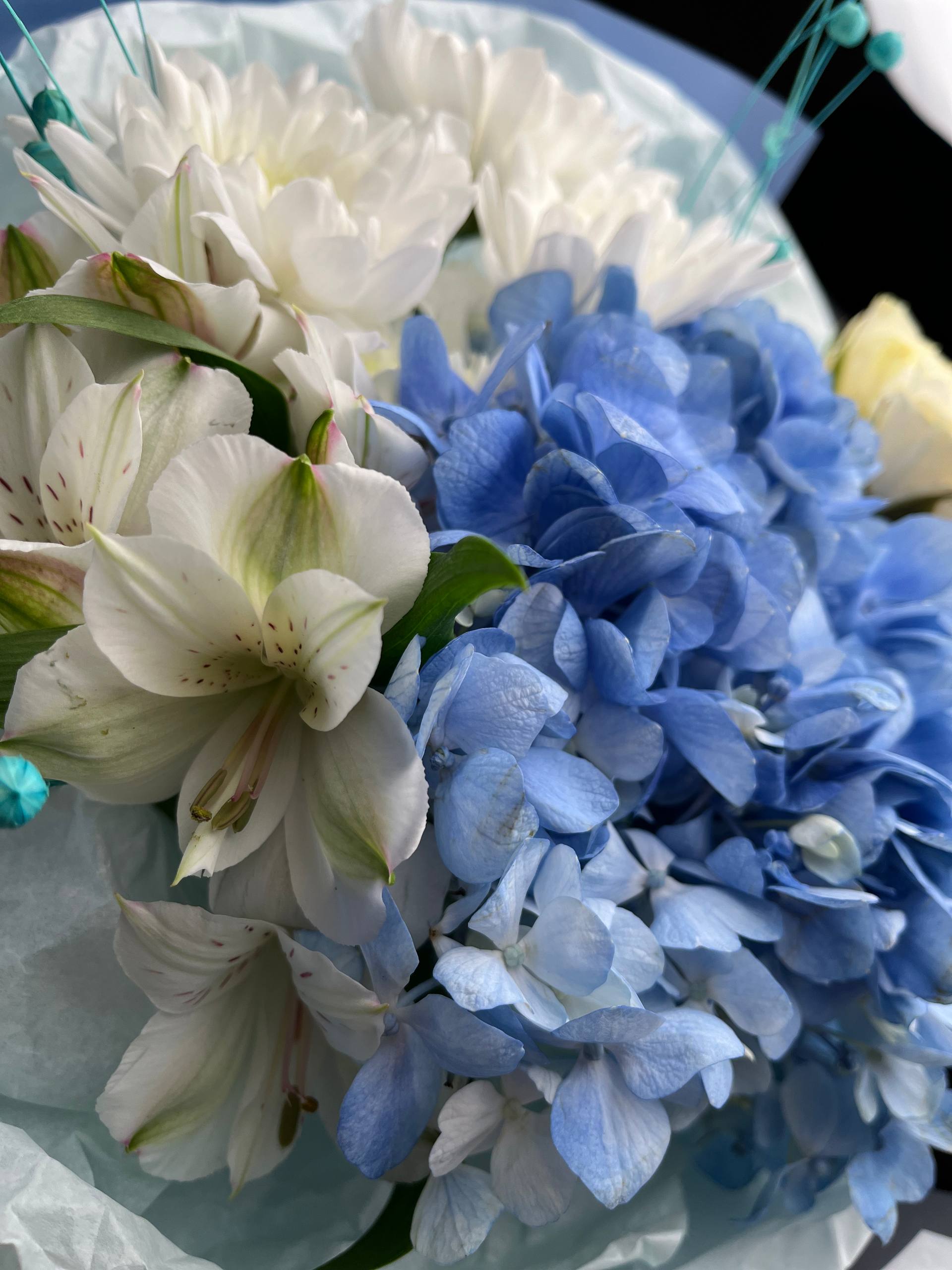 Эльфийский сад