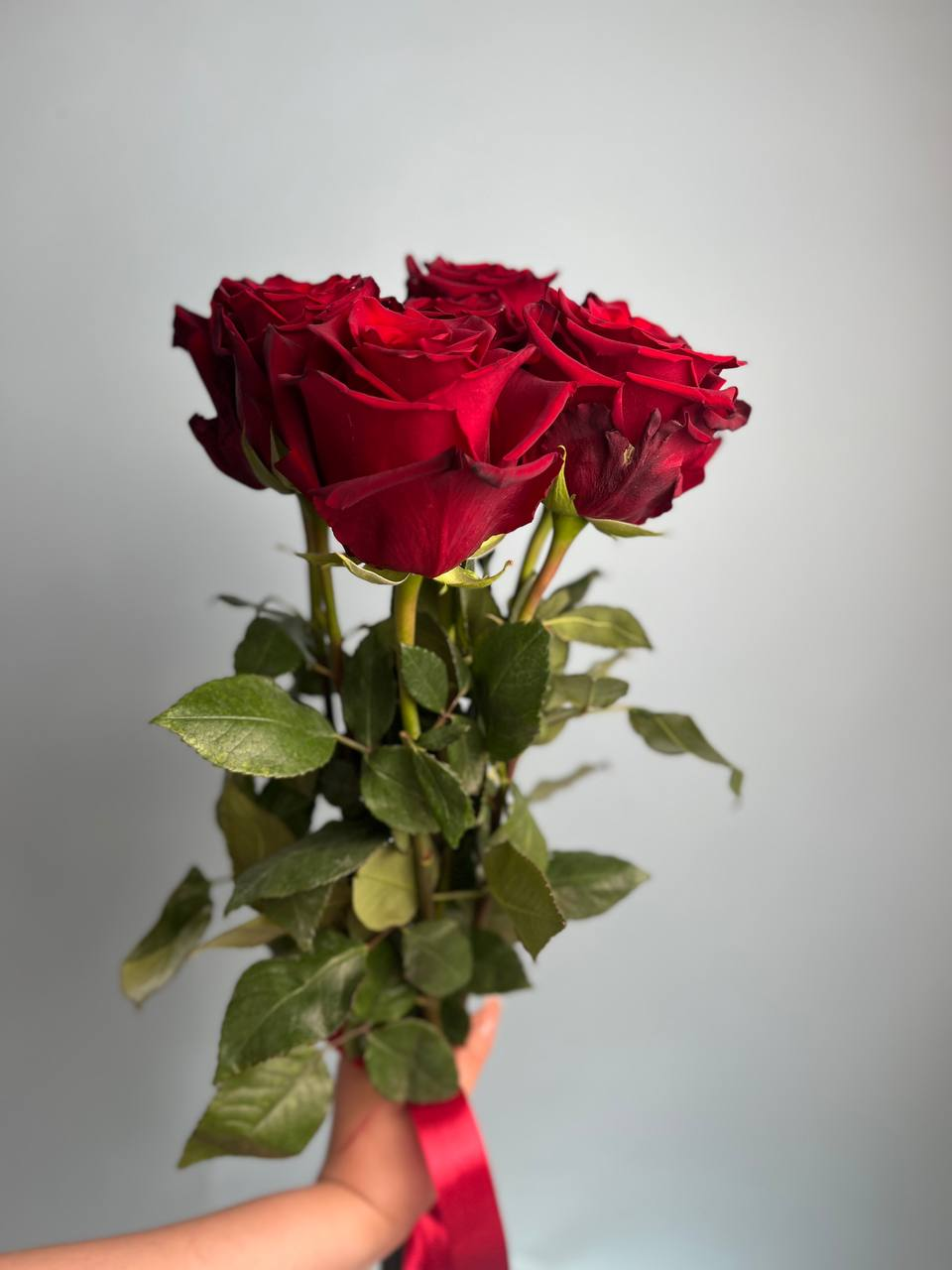 Эксплорер (XS)