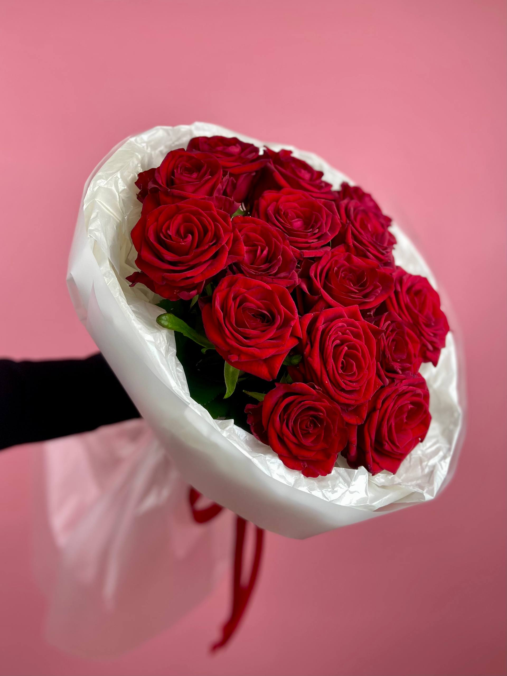 Кон Аморе (M)