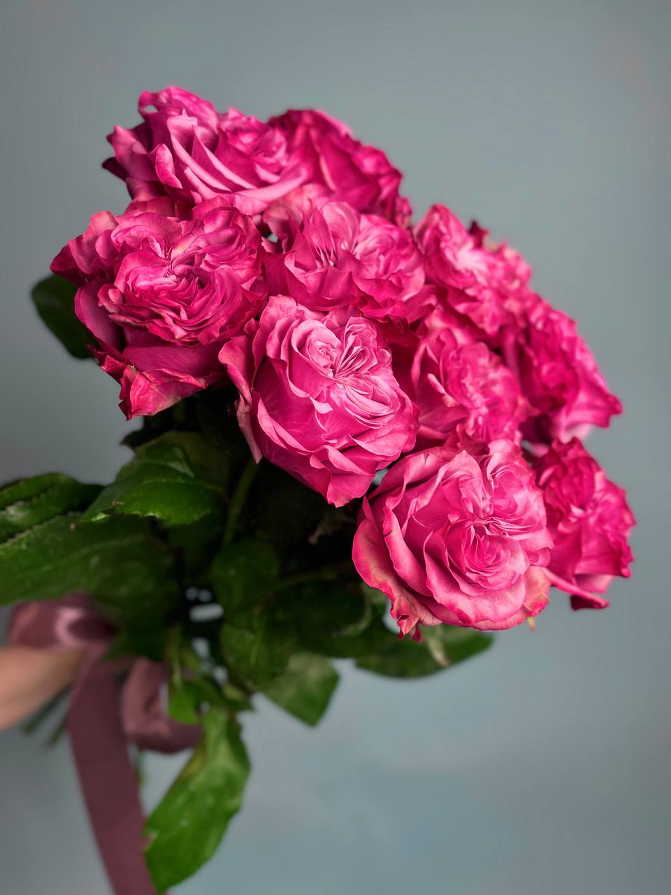 Розы Кантри Блюз (11 шт)