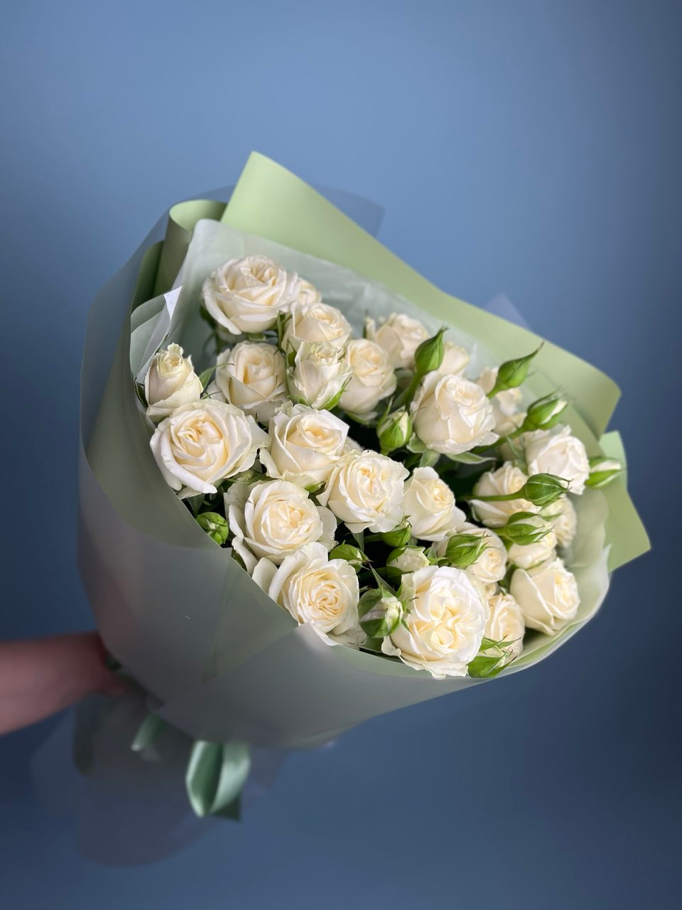 Облако нежности