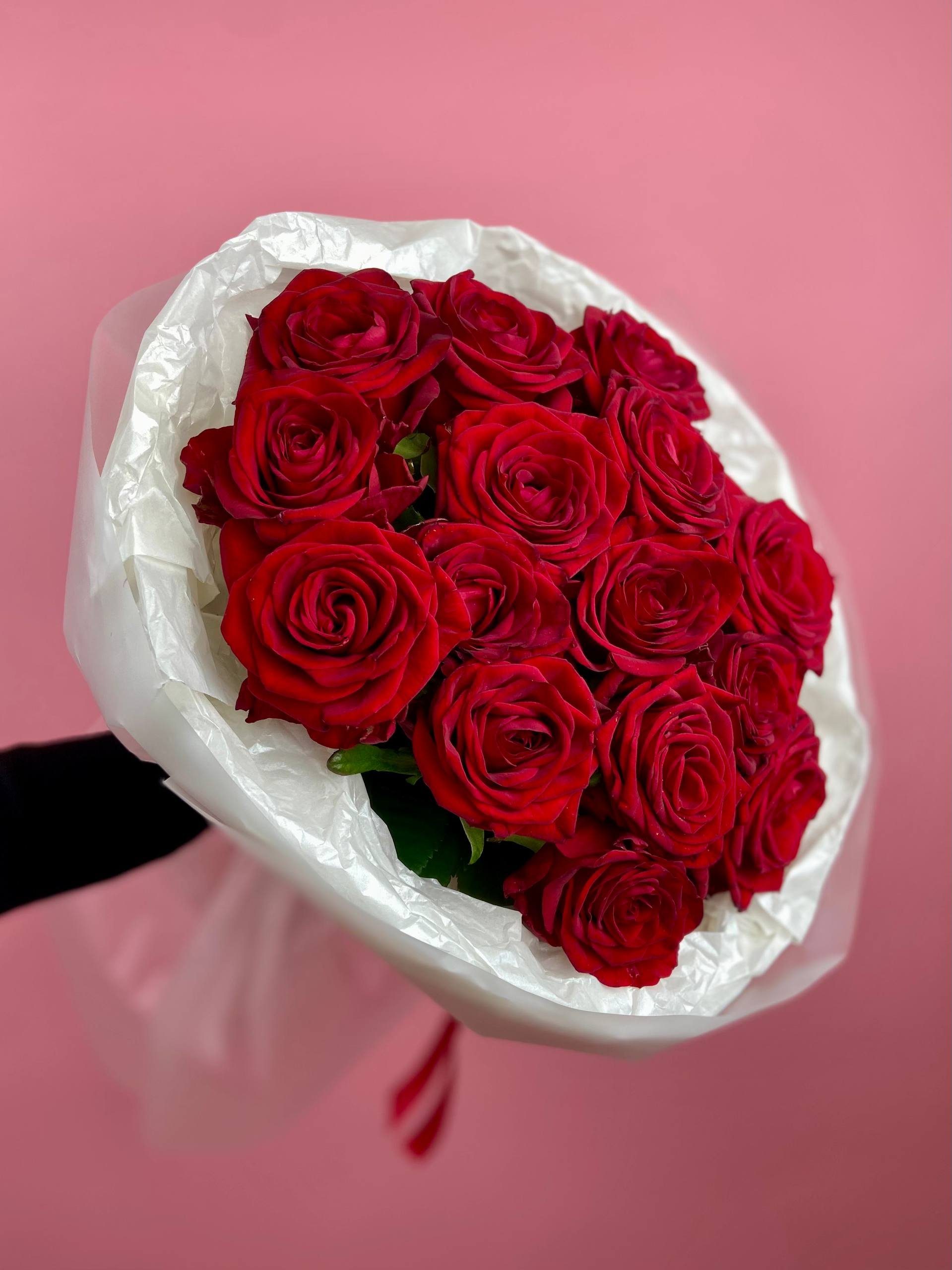 Кон Аморе (M)