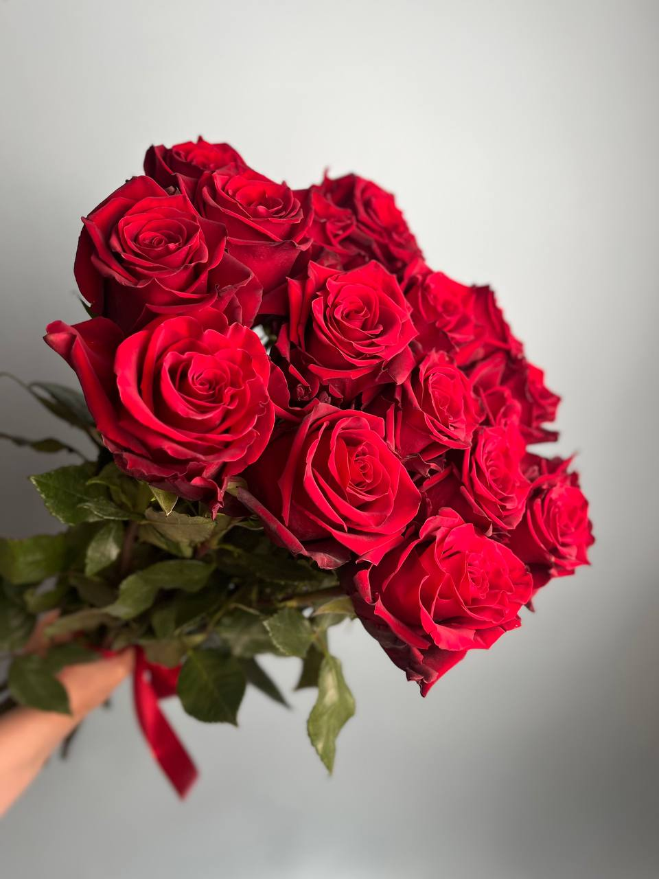 Эксплорер (M)