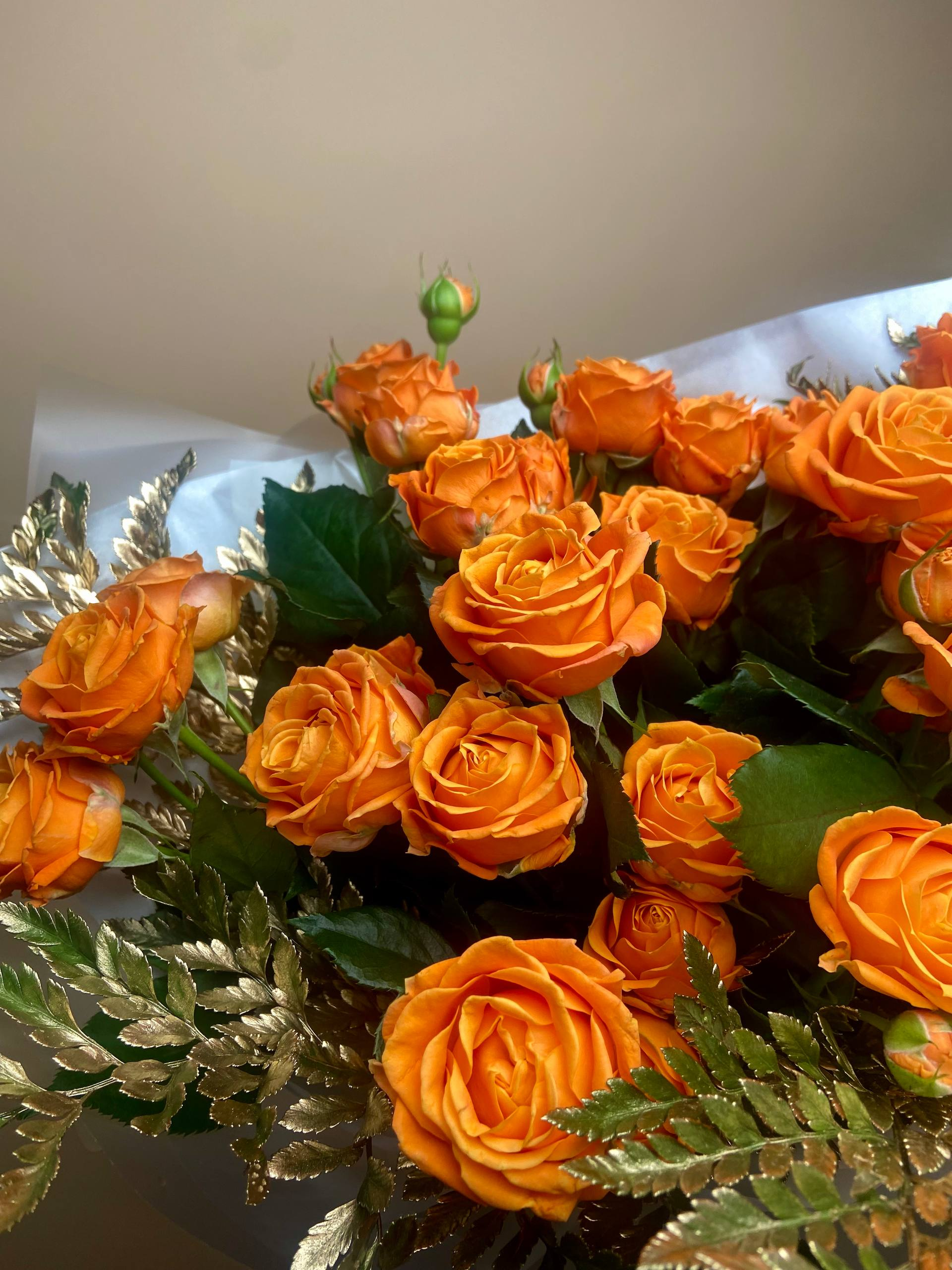 Пробуждение Феникса (L)