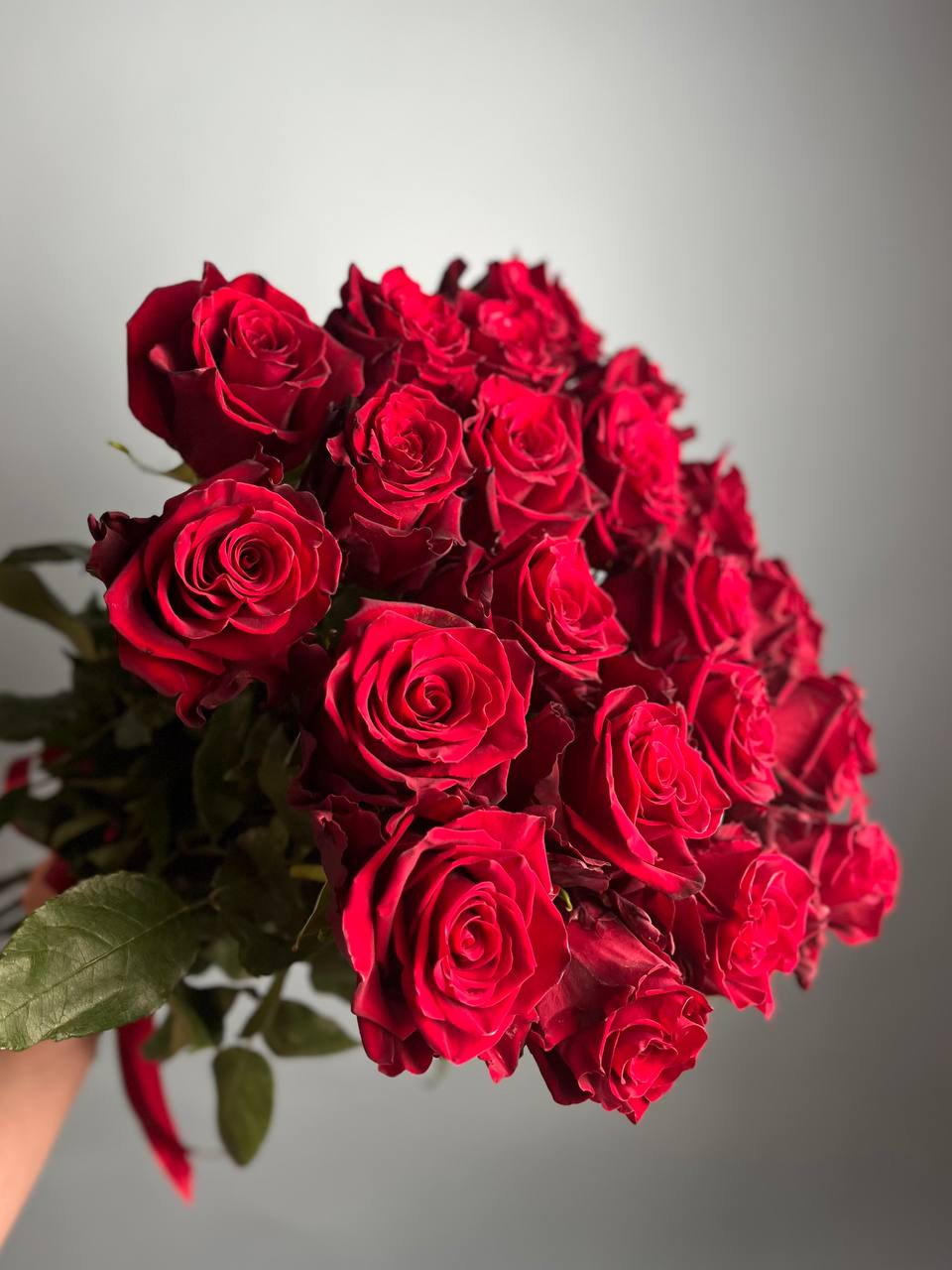 Эксплорер (L)