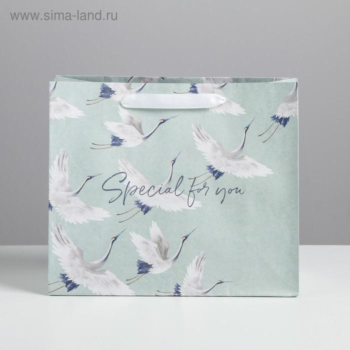 Пакет Special for you, 27 х 23 х 11,5 см