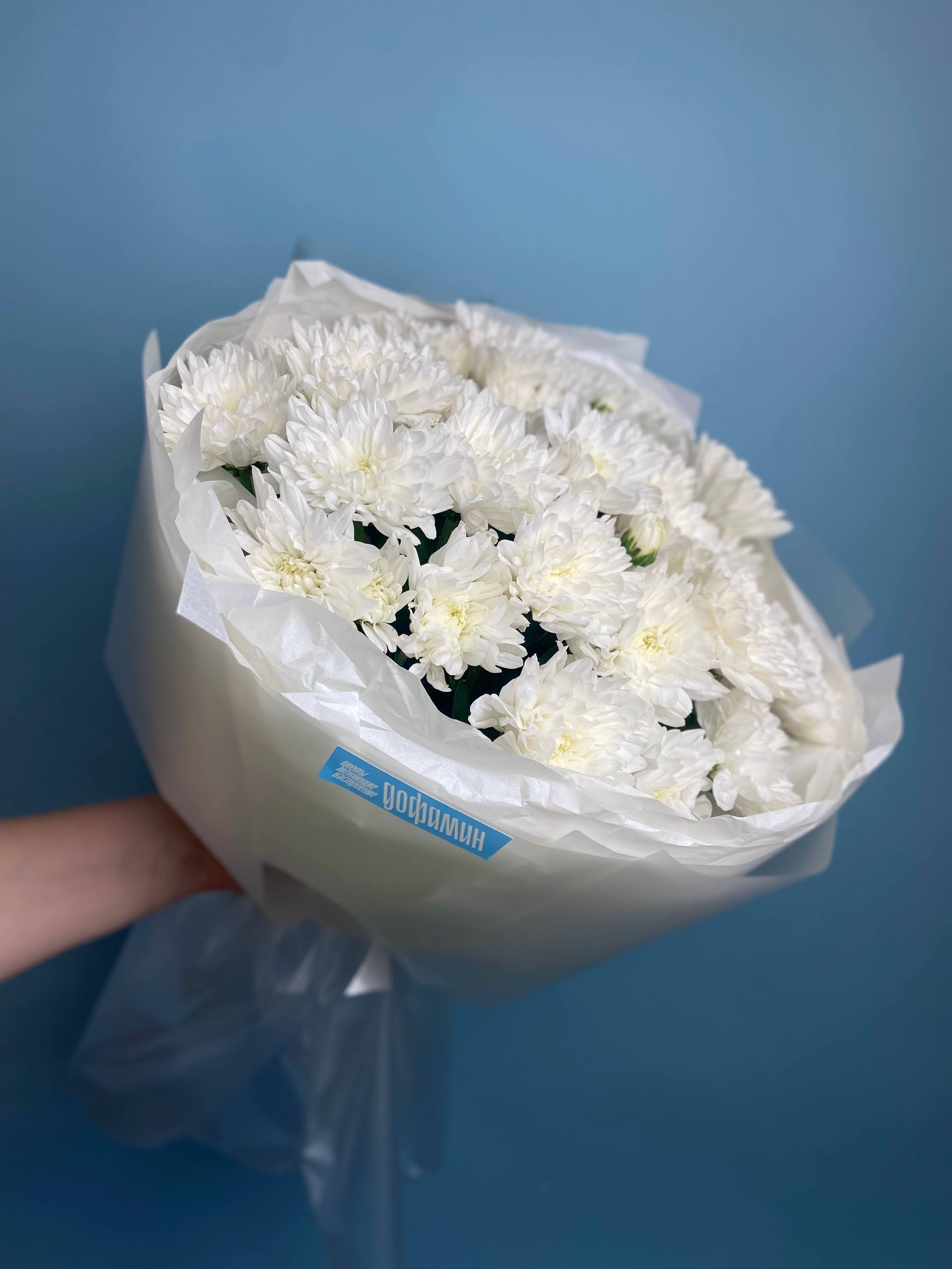 Моно букет из 5 кустовых хризантем