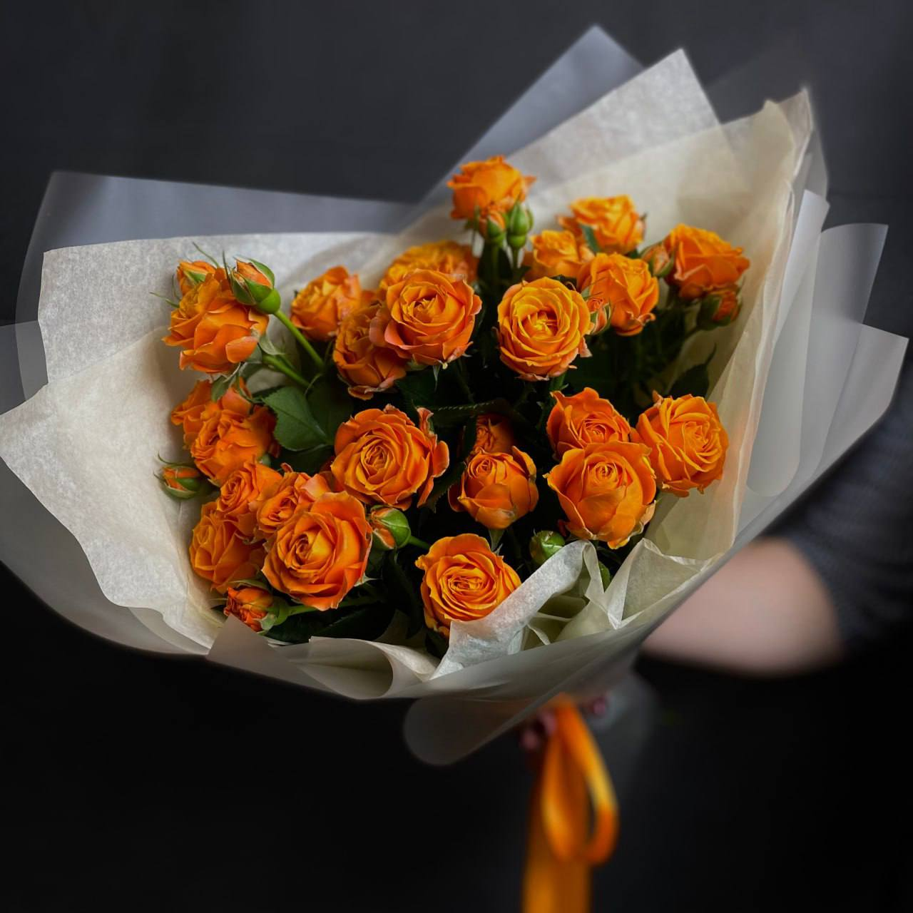 Пробуждение Феникса (M)