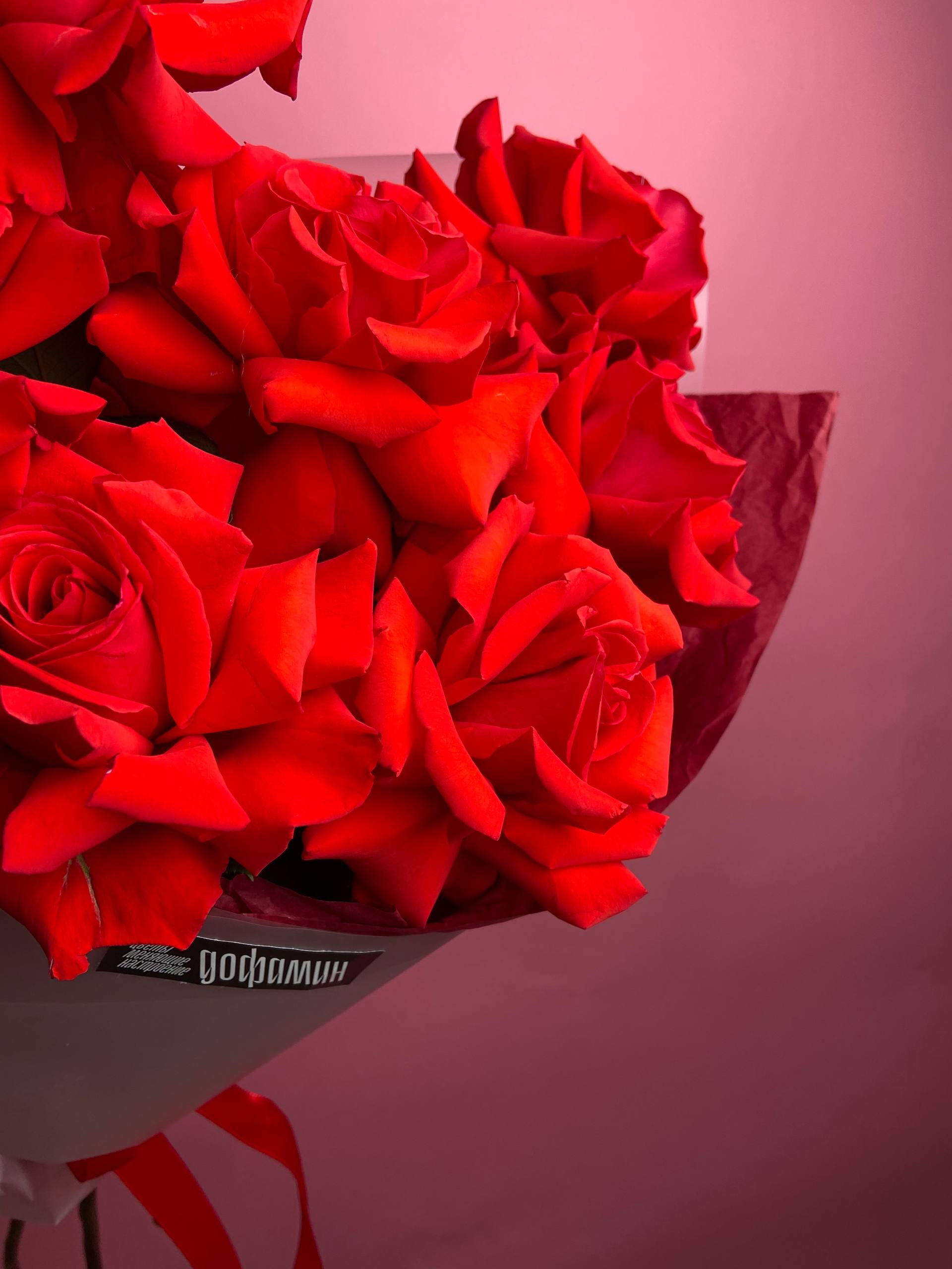 Серенада для тебя