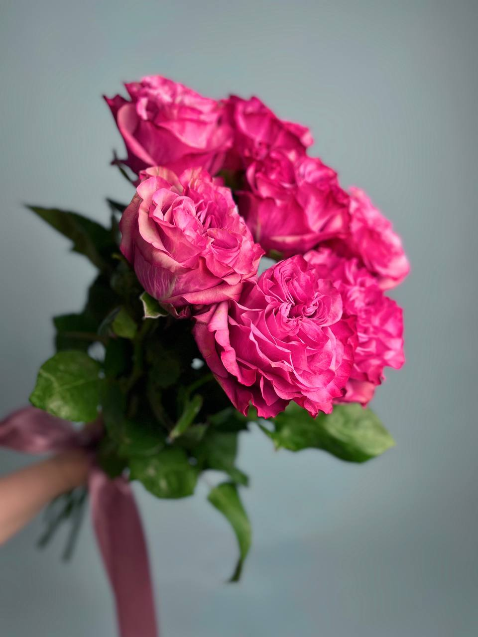 Розы Кантри Блюз (7 шт)