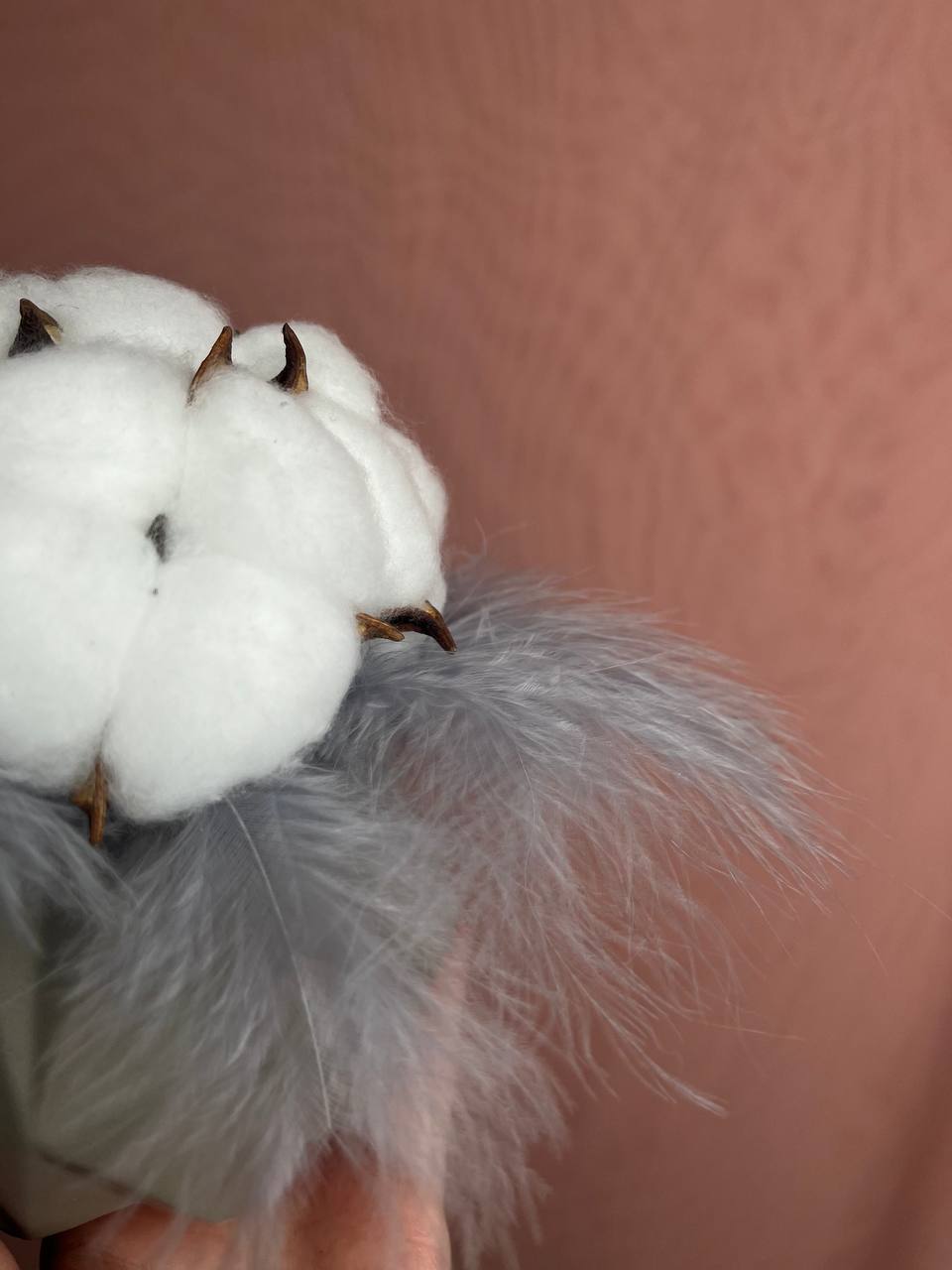 Утренняя нежность