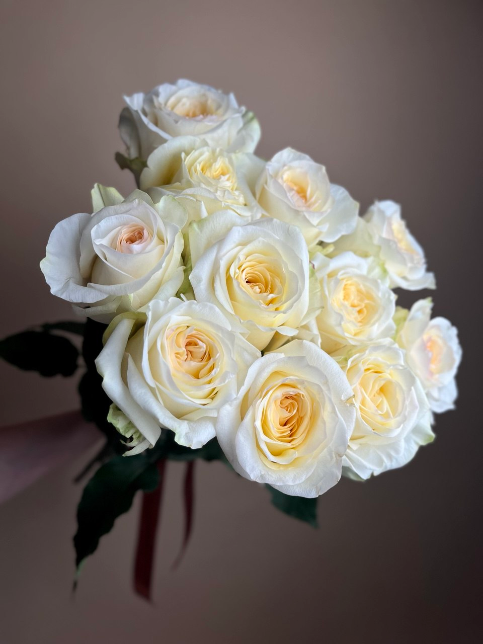 Конделайт (S)