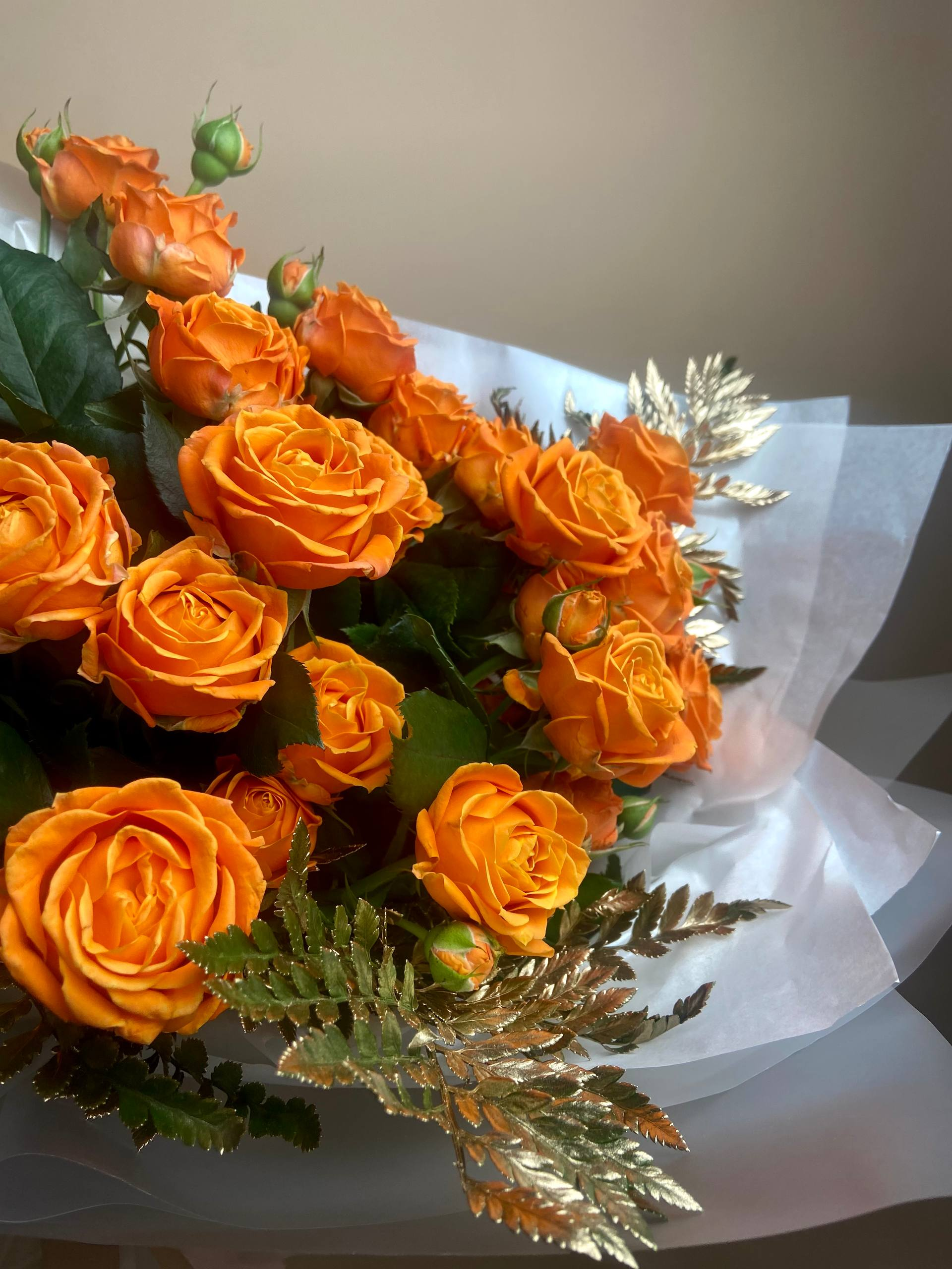 Пробуждение Феникса (L)