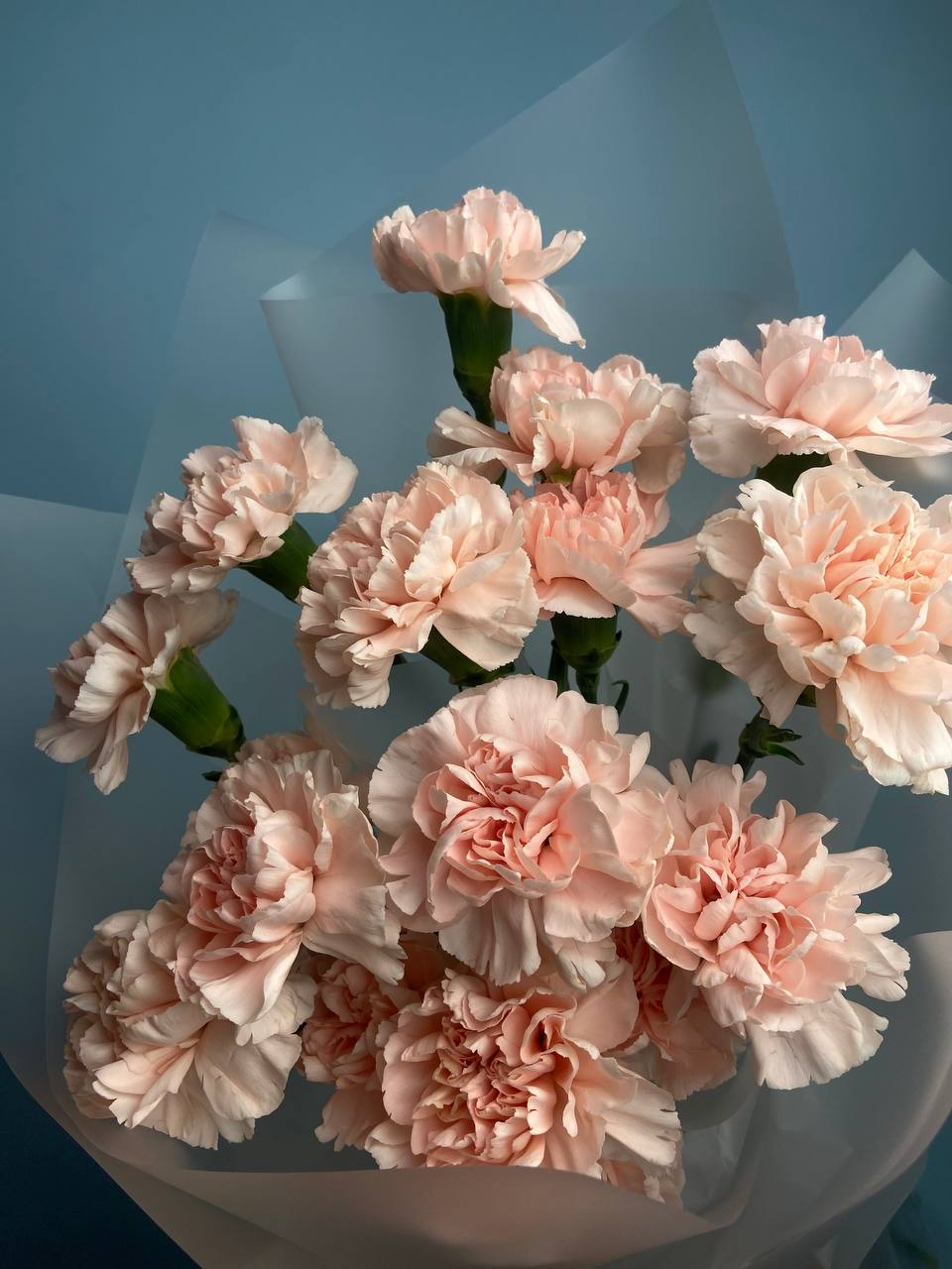 Вдохновение