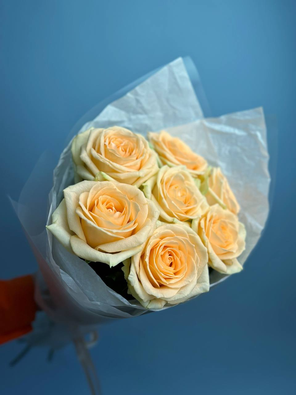 Пич Аваланж (XS)