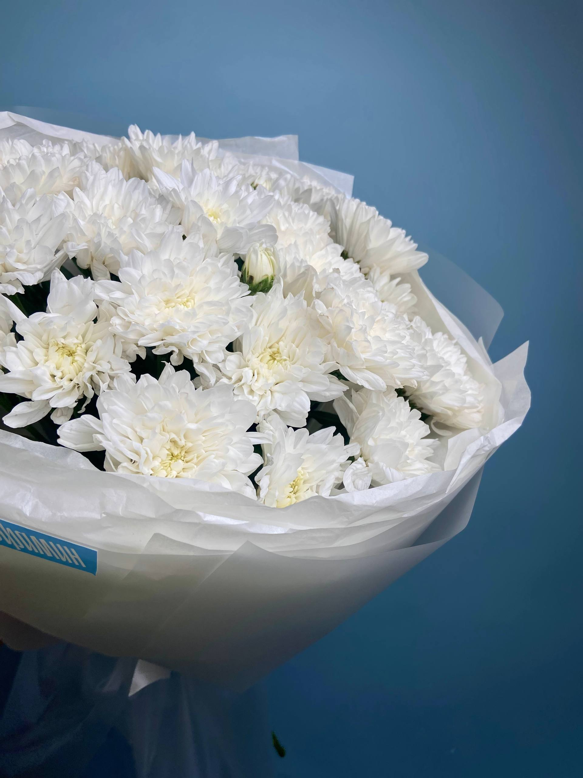 Моно букет из 5 кустовых хризантем