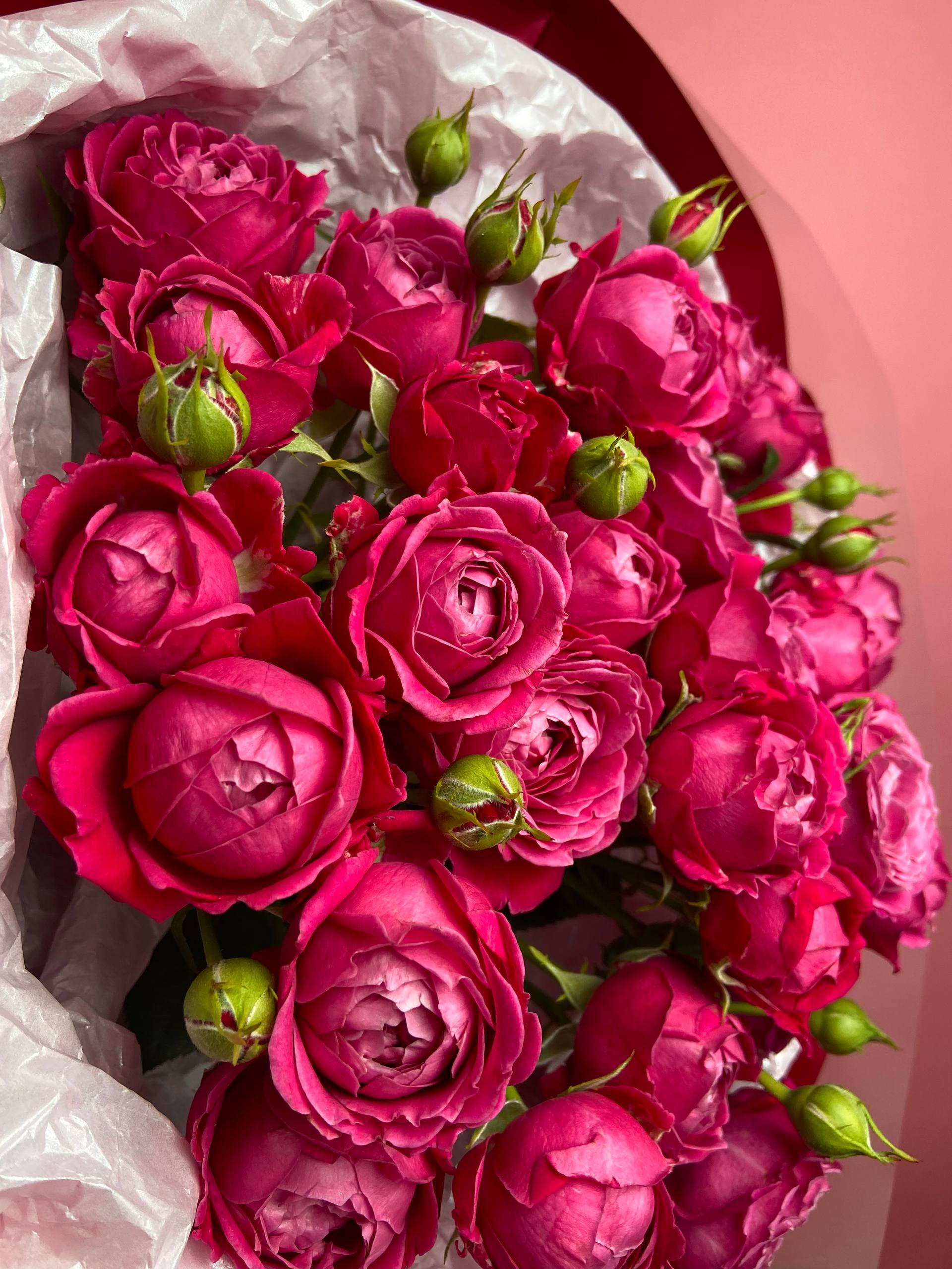 С любовью из сада