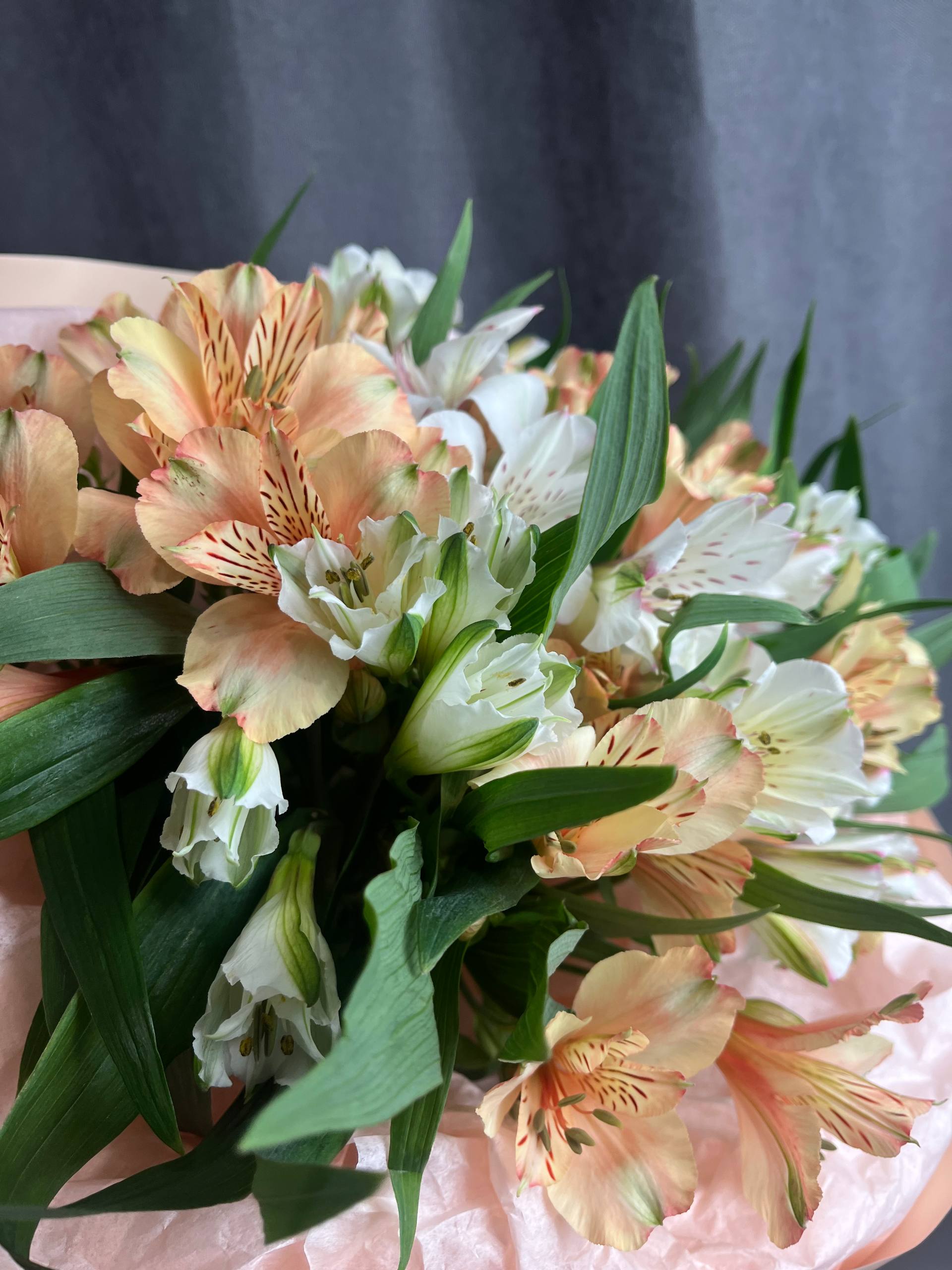 Момент счастья