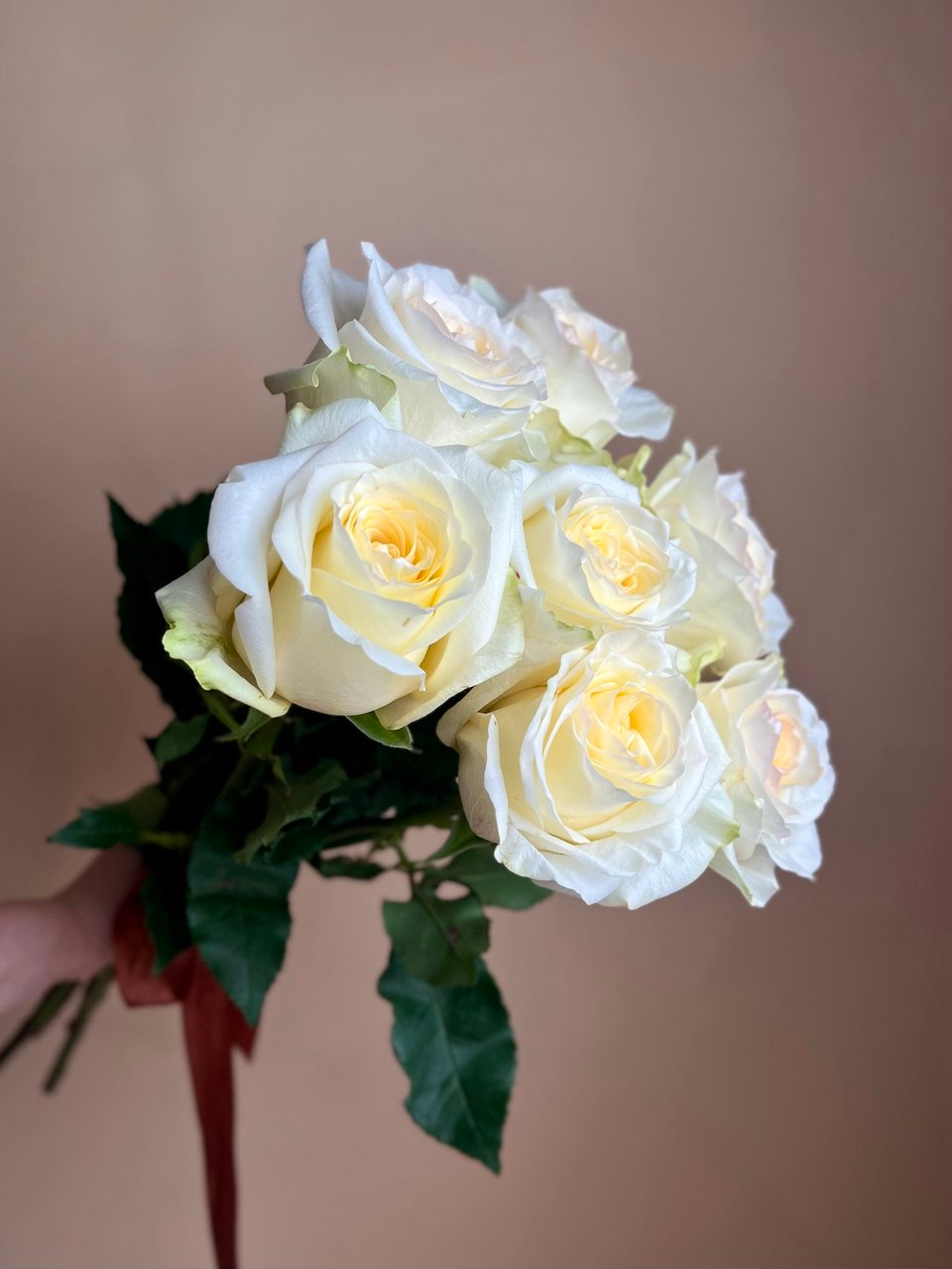 Конделайт (XS)