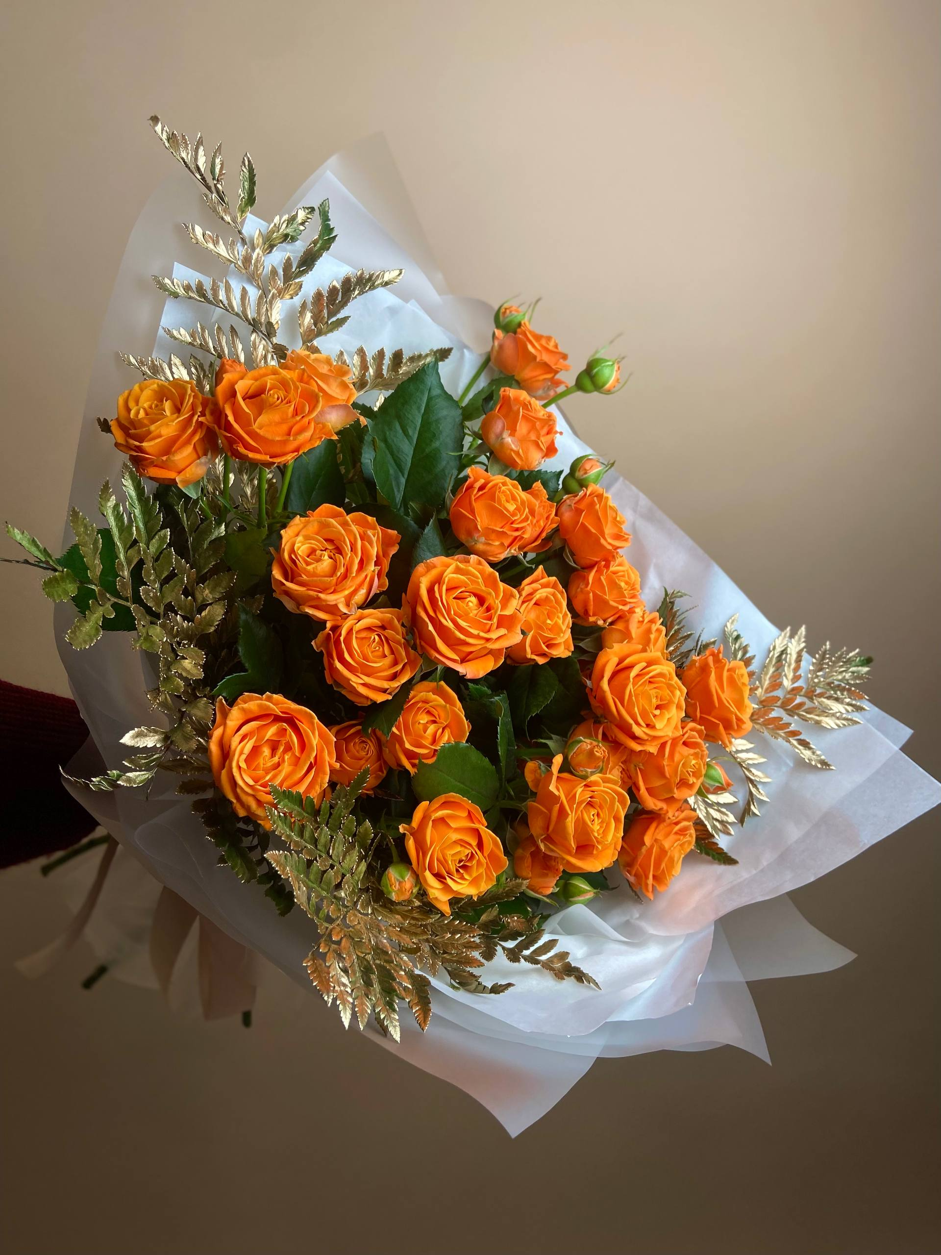 Пробуждение Феникса (L)