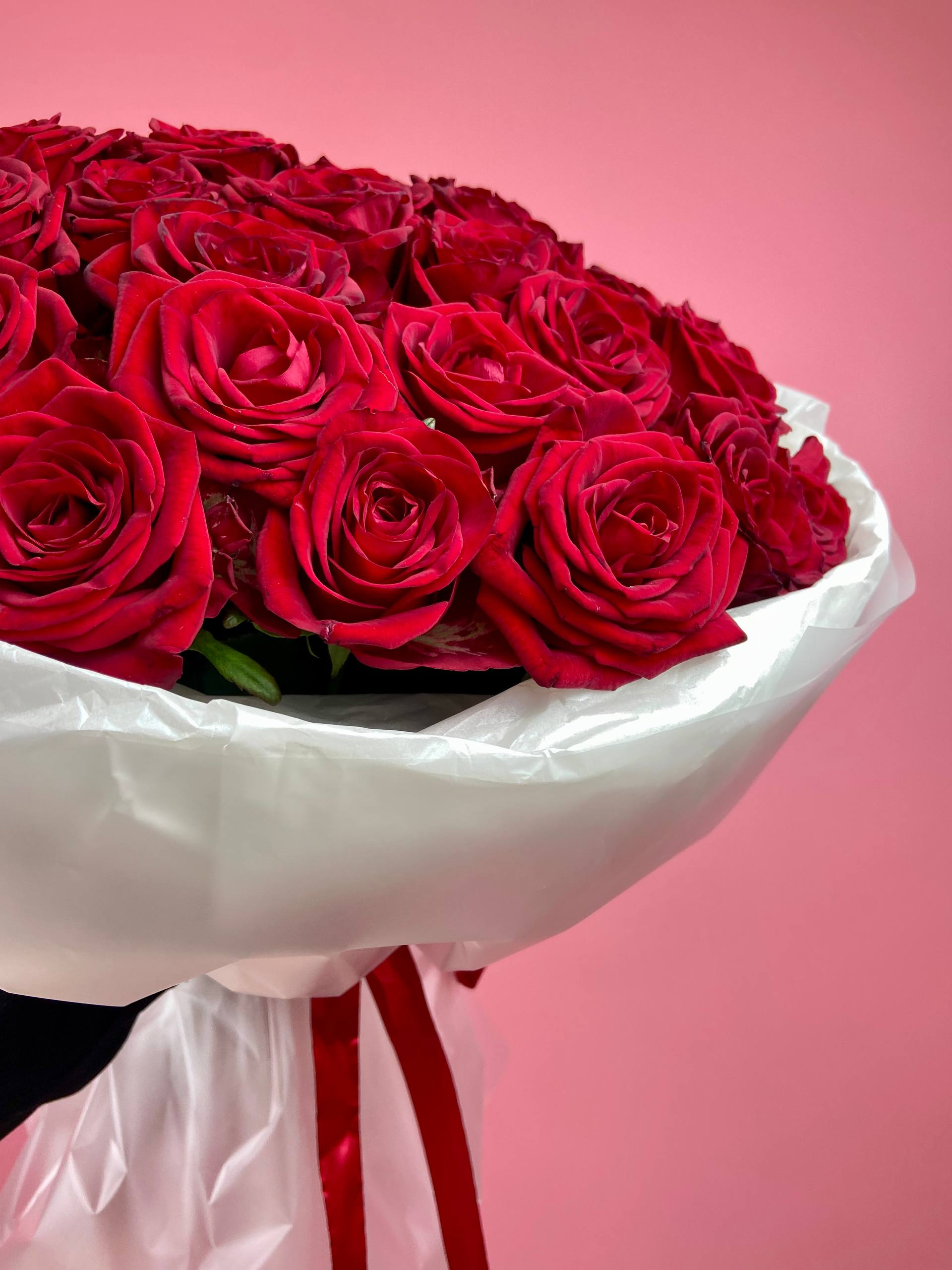 Кон Аморе (L)