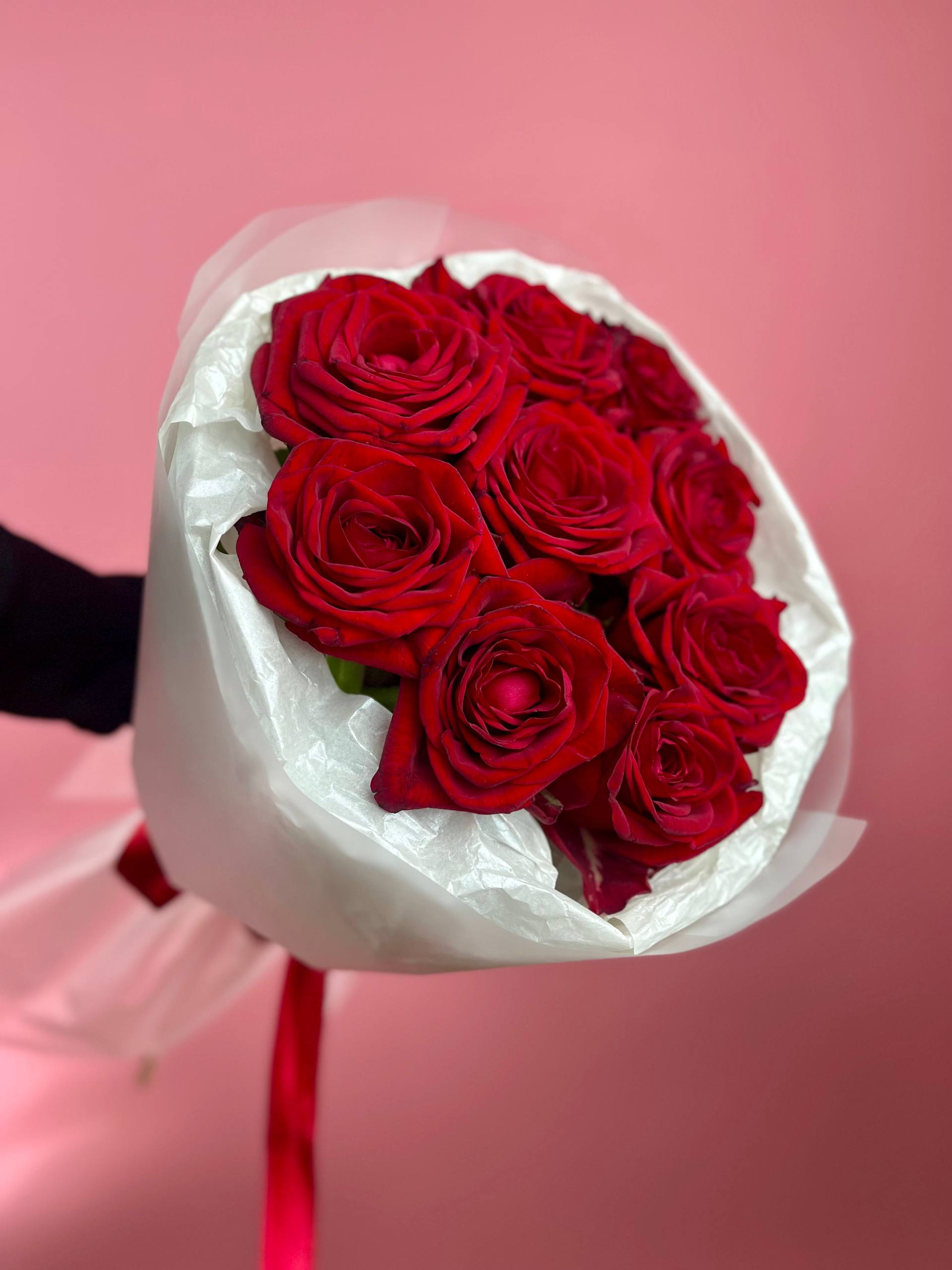 Кон Аморе (S)