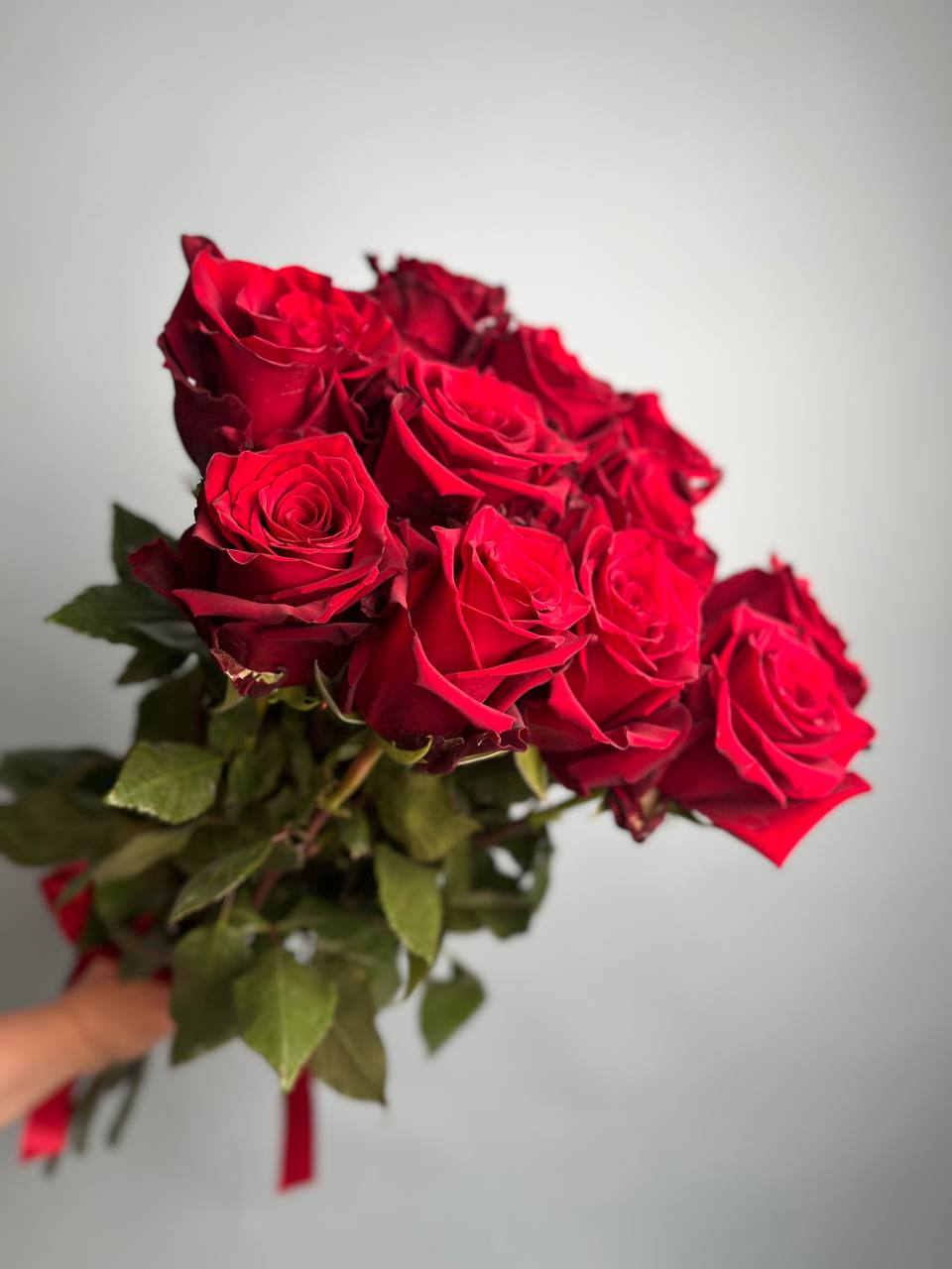 Эксплорер (S)