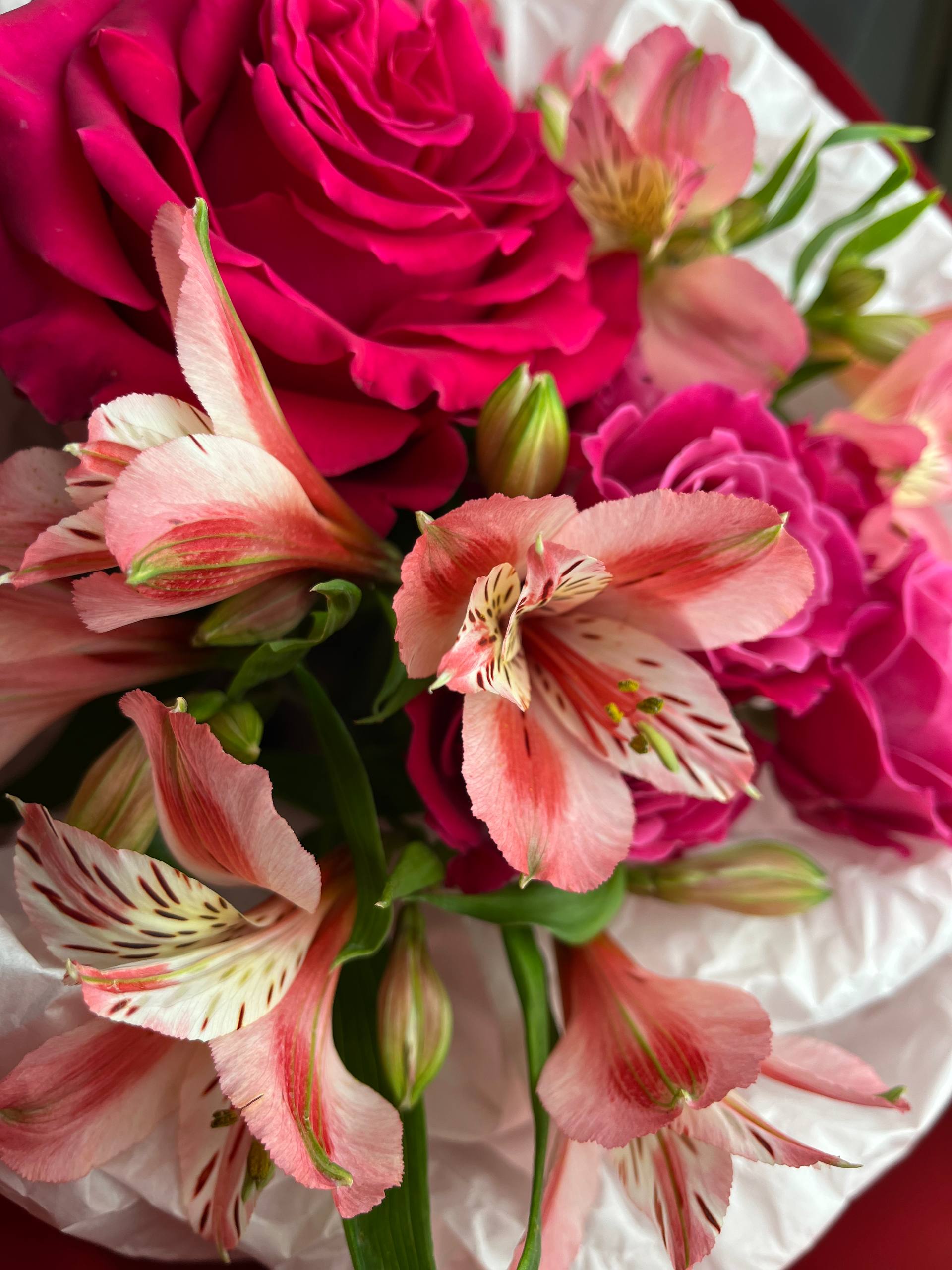 Малиновый джаз